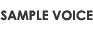 SAMPLE VOICE