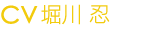 cv？？？